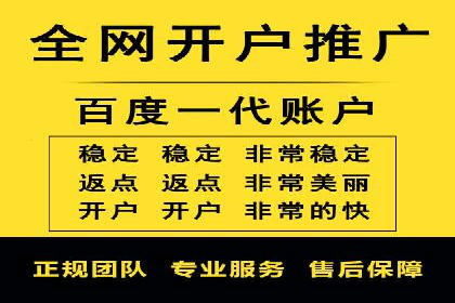 SEM推广案例：竞价代运营实战解析